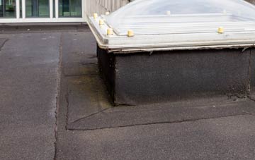 disadvantages of Guineaford flat roofs